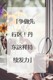 争做先行区！丹东这样持续发力