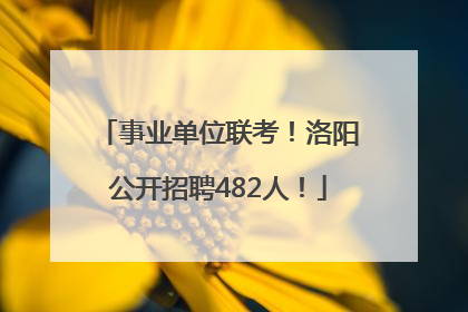 事业单位联考！洛阳公开招聘482人！