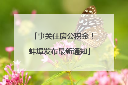 事关住房公积金！蚌埠发布最新通知