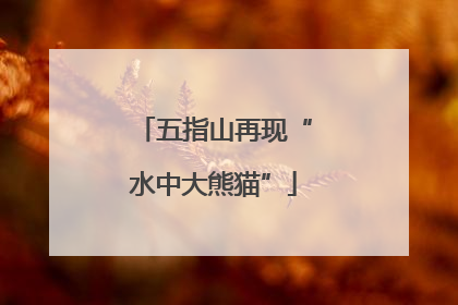 五指山再现“水中大熊猫”