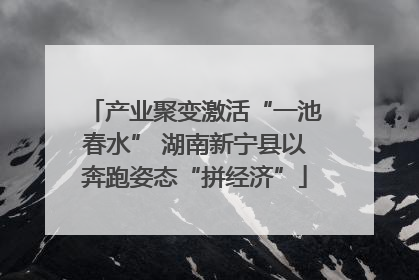 产业聚变激活“一池春水” 湖南新宁县以奔跑姿态“拼经济”