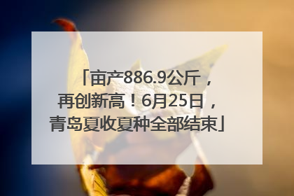 亩产886.9公斤，再创新高！6月25日，青岛夏收夏种全部结束