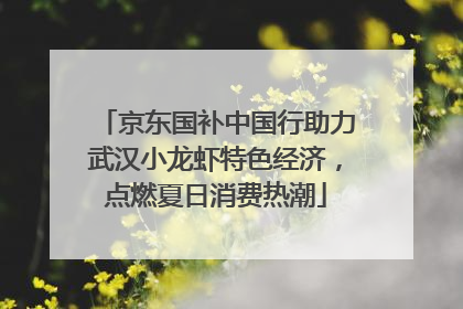 京东国补中国行助力武汉小龙虾特色经济，点燃夏日消费热潮