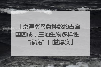 京津冀鸟类种数约占全国四成，三地生物多样性“家底”日益厚实
