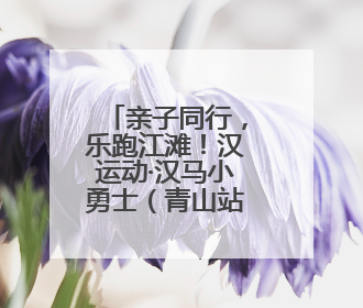 亲子同行，乐跑江滩！汉运动·汉马小勇士（青山站）活力开跑