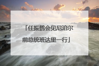 任振鹤会见尼泊尔前总统班达里一行