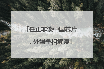 任正非谈中国芯片，外媒争相解读