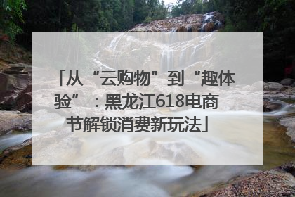 从“云购物”到“趣体验”：黑龙江618电商节解锁消费新玩法