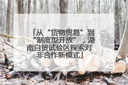 从“货物贸易”到“制度型开放”，湖南自贸试验区探索对非合作新模式