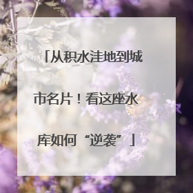 从积水洼地到城市名片！看这座水库如何“逆袭”