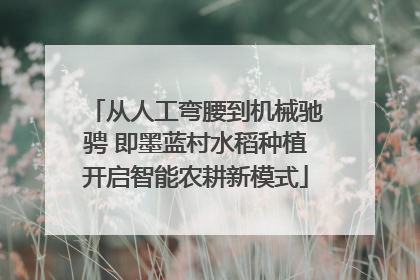 从人工弯腰到机械驰骋 即墨蓝村水稻种植开启智能农耕新模式