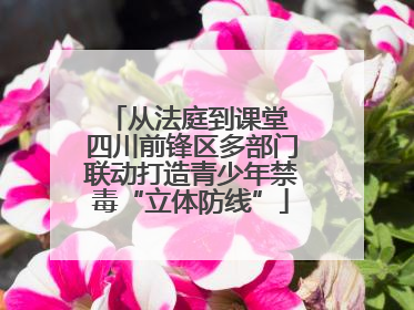 从法庭到课堂 四川前锋区多部门联动打造青少年禁毒“立体防线”