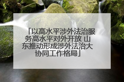 以高水平涉外法治服务高水平对外开放 山东推动形成涉外法治大协同工作格局