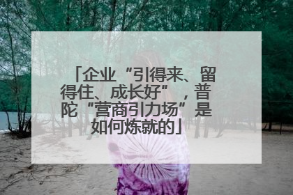企业“引得来、留得住、成长好”，普陀“营商引力场”是如何炼就的