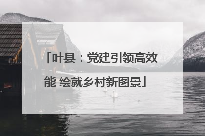 叶县：党建引领高效能 绘就乡村新图景