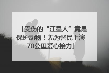 受伤的“汪星人”竟是保护动物！无为警民上演70公里爱心接力