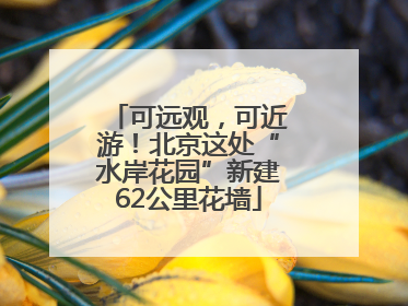 可远观，可近游！北京这处“水岸花园”新建62公里花墙