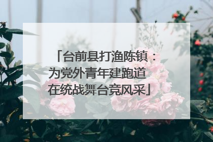 台前县打渔陈镇：为党外青年建跑道 在统战舞台竞风采