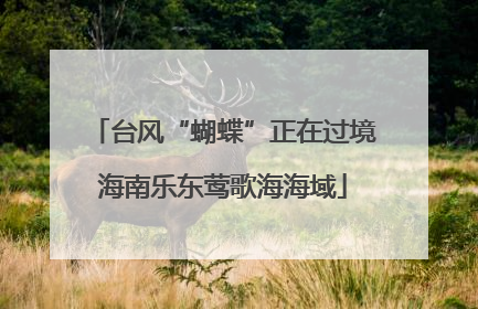 台风“蝴蝶”正在过境海南乐东莺歌海海域