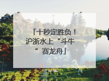 十秒定胜负！沪浙水上“斗牛”赛龙舟