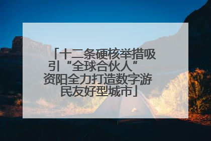 十二条硬核举措吸引“全球合伙人” 资阳全力打造数字游民友好型城市