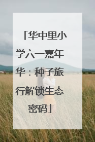 华中里小学六一嘉年华：种子旅行解锁生态密码