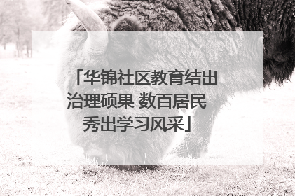 华锦社区教育结出治理硕果 数百居民秀出学习风采