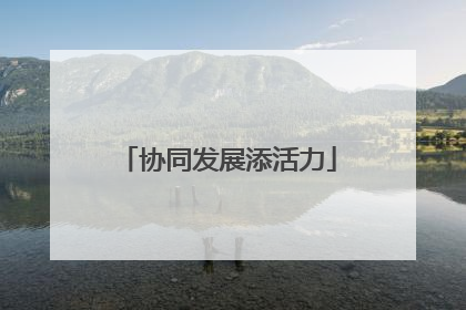 协同发展添活力