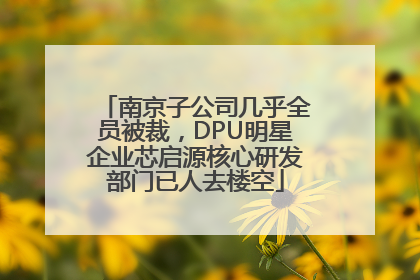南京子公司几乎全员被裁，DPU明星企业芯启源核心研发部门已人去楼空