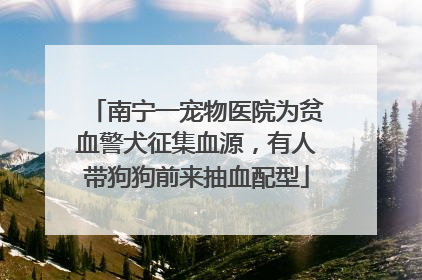 南宁一宠物医院为贫血警犬征集血源，有人带狗狗前来抽血配型