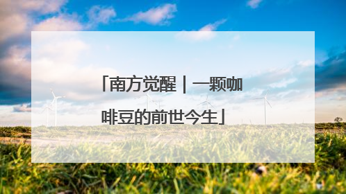 南方觉醒｜一颗咖啡豆的前世今生