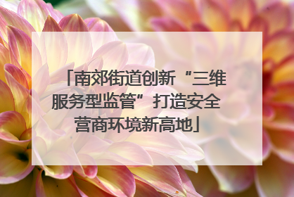 南郊街道创新“三维服务型监管”打造安全营商环境新高地