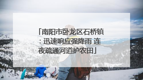 南阳市卧龙区石桥镇：迅速响应强降雨 连夜疏通河道护农田