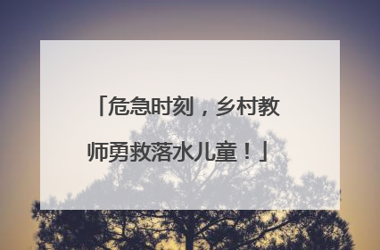 危急时刻，乡村教师勇救落水儿童！