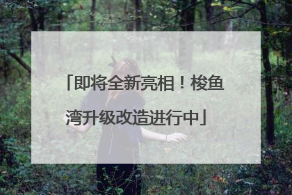 即将全新亮相！梭鱼湾升级改造进行中