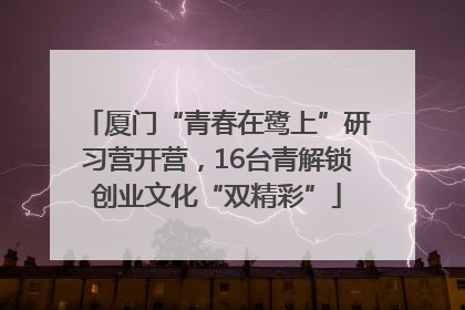 厦门“青春在鹭上”研习营开营，16台青解锁创业文化“双精彩”