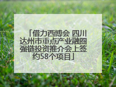 借力西博会 四川达州市重点产业融圈强链投资推介会上签约58个项目