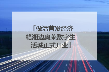 做活首发经济 赣湘边奥莱数字生活城正式开业