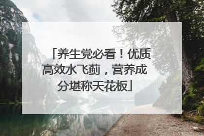养生党必看！优质高效水飞蓟，营养成分堪称天花板