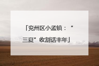 兖州区小孟镇：“三夏”收割话丰年
