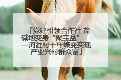党建引领合作社 盐碱地变身“聚宝盆”——河涯村十年蝶变实现产业兴村群众富