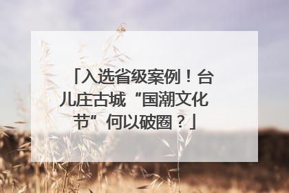 入选省级案例！台儿庄古城“国潮文化节”何以破圈？