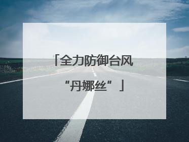 全力防御台风“丹娜丝”