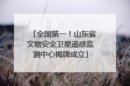 全国第一！山东省文物安全卫星遥感监测中心揭牌成立