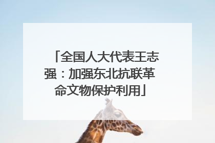 全国人大代表王志强：加强东北抗联革命文物保护利用