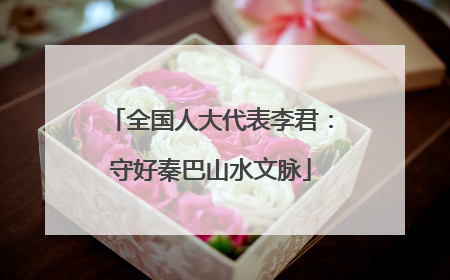 全国人大代表李君：守好秦巴山水文脉