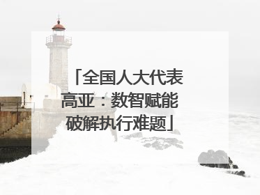 全国人大代表高亚：数智赋能破解执行难题