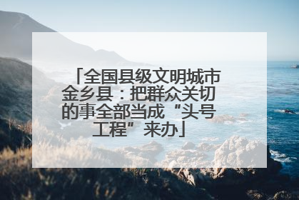 全国县级文明城市金乡县：把群众关切的事全部当成“头号工程”来办