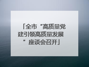 全市“高质量党建引领高质量发展”座谈会召开