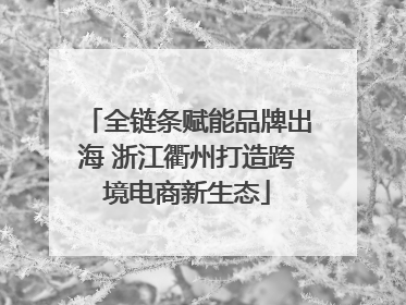 全链条赋能品牌出海 浙江衢州打造跨境电商新生态